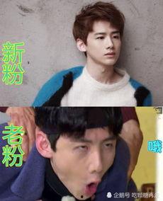 爱豆眼中粉丝搞笑,爱豆视角下的粉丝欢乐瞬间