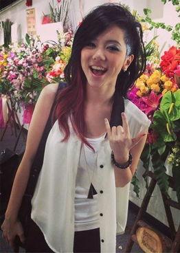 上明星邓紫棋小说,星光璀璨的青春旋律