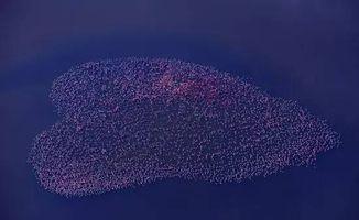 罗红背景,从摄影大师到创业先锋的跨界传奇